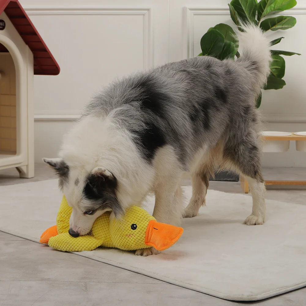 Interactieve Eend Knuffel voor Honden | Zacht Speelgoed – Leuk en Duurzaam