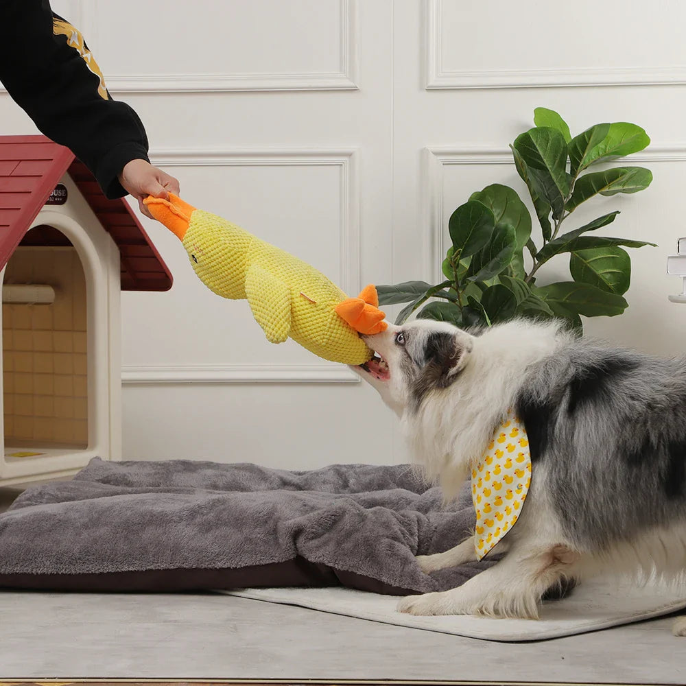 Interactieve Eend Knuffel voor Honden | Zacht Speelgoed – Leuk en Duurzaam