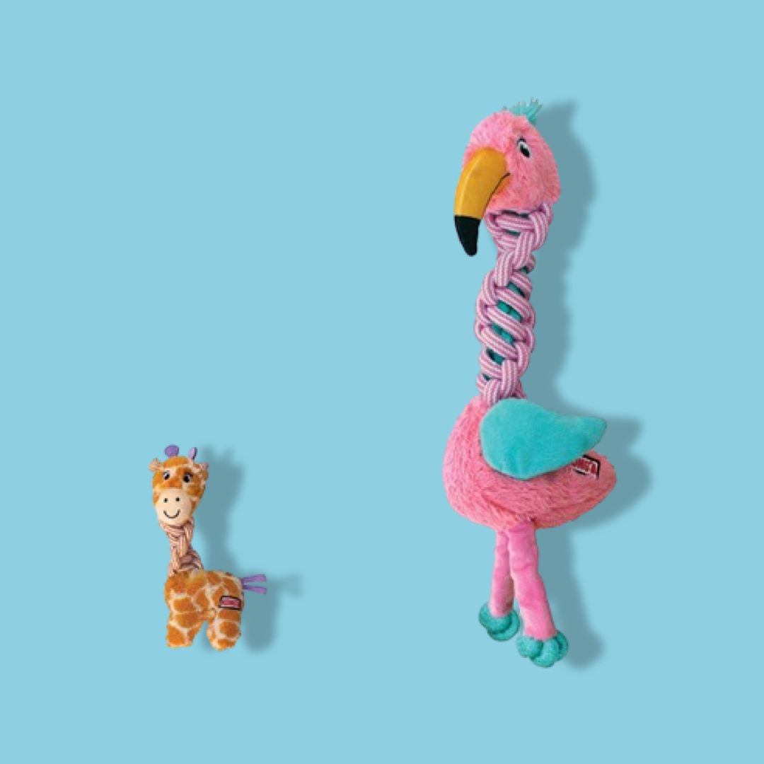 Kong - Knots Twists Assorti