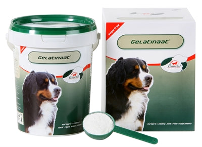Primeval - Gelatinaat Hond