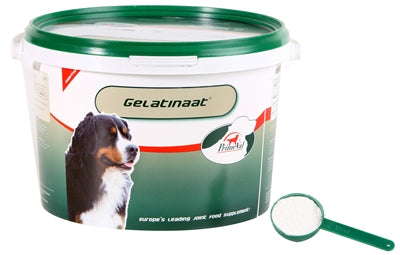 Primeval - Gelatinaat Hond