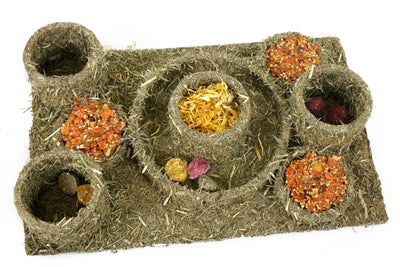 Rosewood - Naturals Hide N Treat Maze