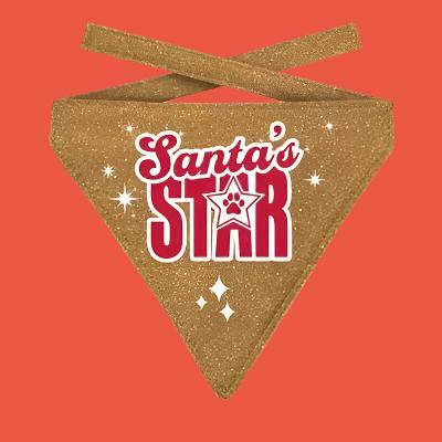 Plenty Gifts Kerst Bandana Santa's Star Glitter Goud