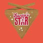 Plenty Gifts Kerst Bandana Santa's Star Glitter Goud