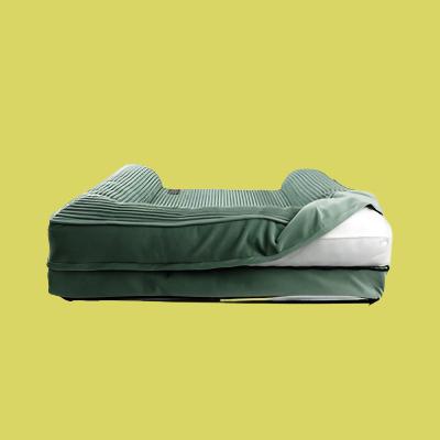 Martin - Hondenmand Royal Collection Groen