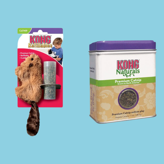 Kong - Bever + Catnip Navulling (30 Gram) - Combideal