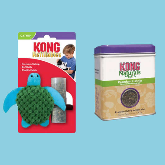 Kong - Turtle + Catnip Navulling (30 Gram) - Combideal