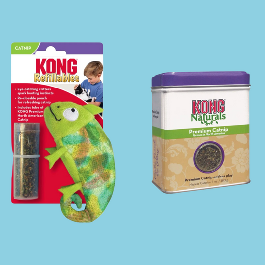 Kong - Kameleon + Catnip Navulling (30 Gram) - Combideal
