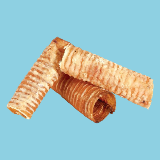 Petsnack - Buffelslurf Hondensnack