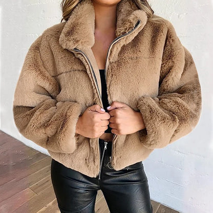 Winter  Cropped Jasje Vrouwen Rits Up Opstaande Kraag