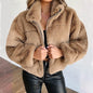 Winter  Cropped Jasje Vrouwen Rits Up Opstaande Kraag