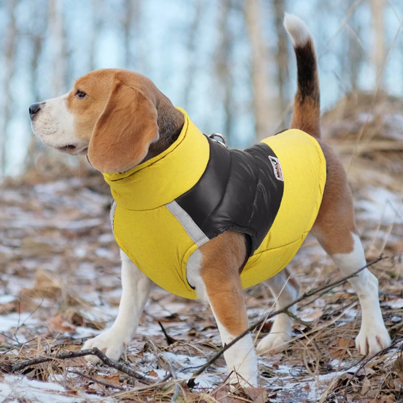 Waterdichte hondenjas Winter warme hondenkleding voor kleine grote honden Puppyvest Chihuahua-jas Franse Bulldog Yorkie Pug-kostuum