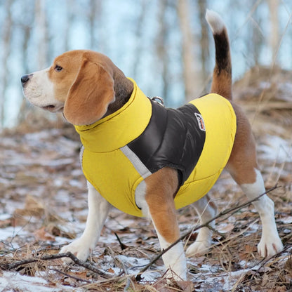 Waterdichte hondenjas Winter warme hondenkleding voor kleine grote honden Puppyvest Chihuahua-jas Franse Bulldog Yorkie Pug-kostuum