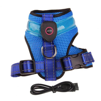 Grote Pet Led Harness Hoge Helderheid Energiebesparende Aantrekkelijke Geen Pull Hond Harnas Vest Met Led Licht