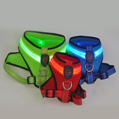 Grote Pet Led Harness Hoge Helderheid Energiebesparende Aantrekkelijke Geen Pull Hond Harnas Vest Met Led Licht