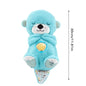 Ademende Otter Slaap En Playmate Otter