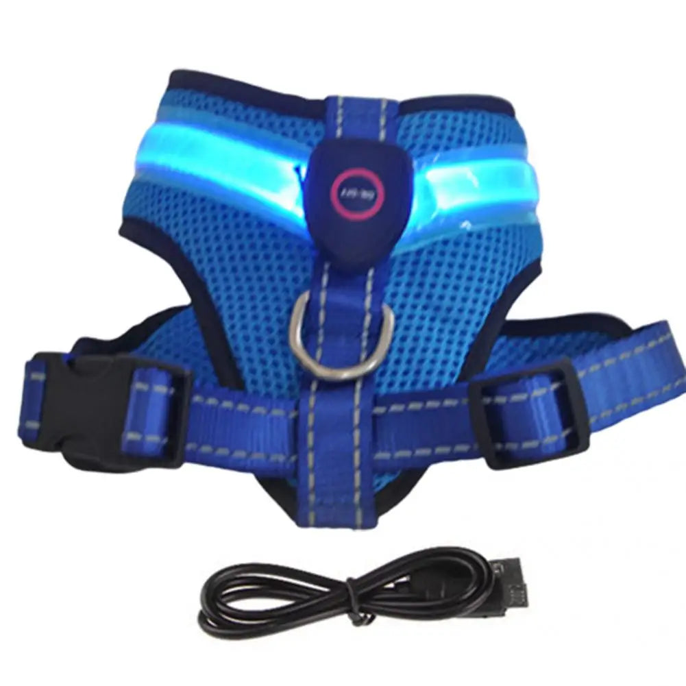 Grote Pet Led Harness Hoge Helderheid Energiebesparende Aantrekkelijke Geen Pull Hond Harnas Vest Met Led Licht