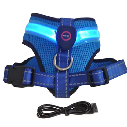 Grote Pet Led Harness Hoge Helderheid Energiebesparende Aantrekkelijke Geen Pull Hond Harnas Vest Met Led Licht