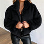 Winter  Cropped Jasje Vrouwen Rits Up Opstaande Kraag