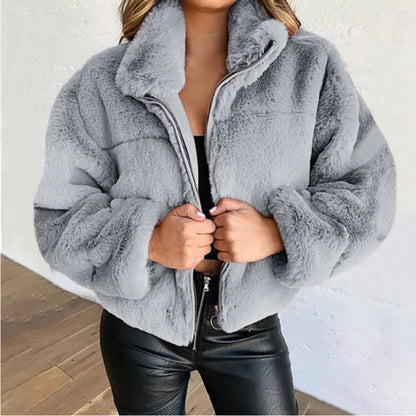 Winter  Cropped Jasje Vrouwen Rits Up Opstaande Kraag