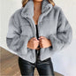 Winter  Cropped Jasje Vrouwen Rits Up Opstaande Kraag