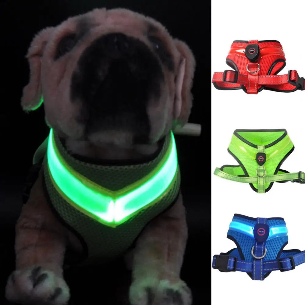 Grote Pet Led Harness Hoge Helderheid Energiebesparende Aantrekkelijke Geen Pull Hond Harnas Vest Met Led Licht