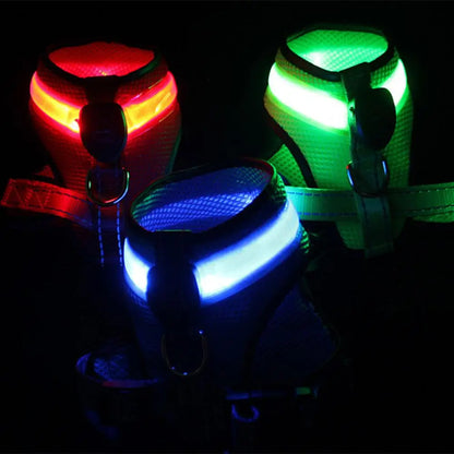 Grote Pet Led Harness Hoge Helderheid Energiebesparende Aantrekkelijke Geen Pull Hond Harnas Vest Met Led Licht