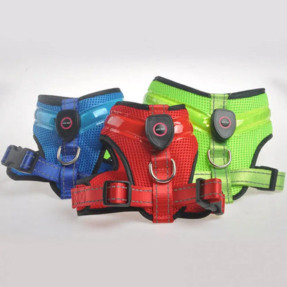 Grote Pet Led Harness Hoge Helderheid Energiebesparende Aantrekkelijke Geen Pull Hond Harnas Vest Met Led Licht