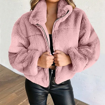 Winter  Cropped Jasje Vrouwen Rits Up Opstaande Kraag