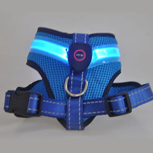 Grote Pet Led Harness Hoge Helderheid Energiebesparende Aantrekkelijke Geen Pull Hond Harnas Vest Met Led Licht