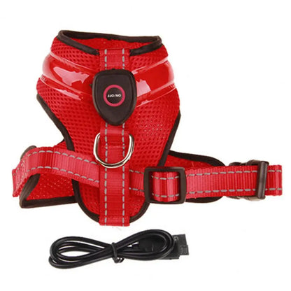 Grote Pet Led Harness Hoge Helderheid Energiebesparende Aantrekkelijke Geen Pull Hond Harnas Vest Met Led Licht