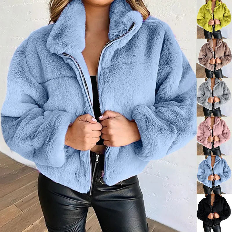 Winter  Cropped Jasje Vrouwen Rits Up Opstaande Kraag
