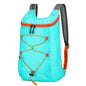 PackEase - Compact Travel Buddy