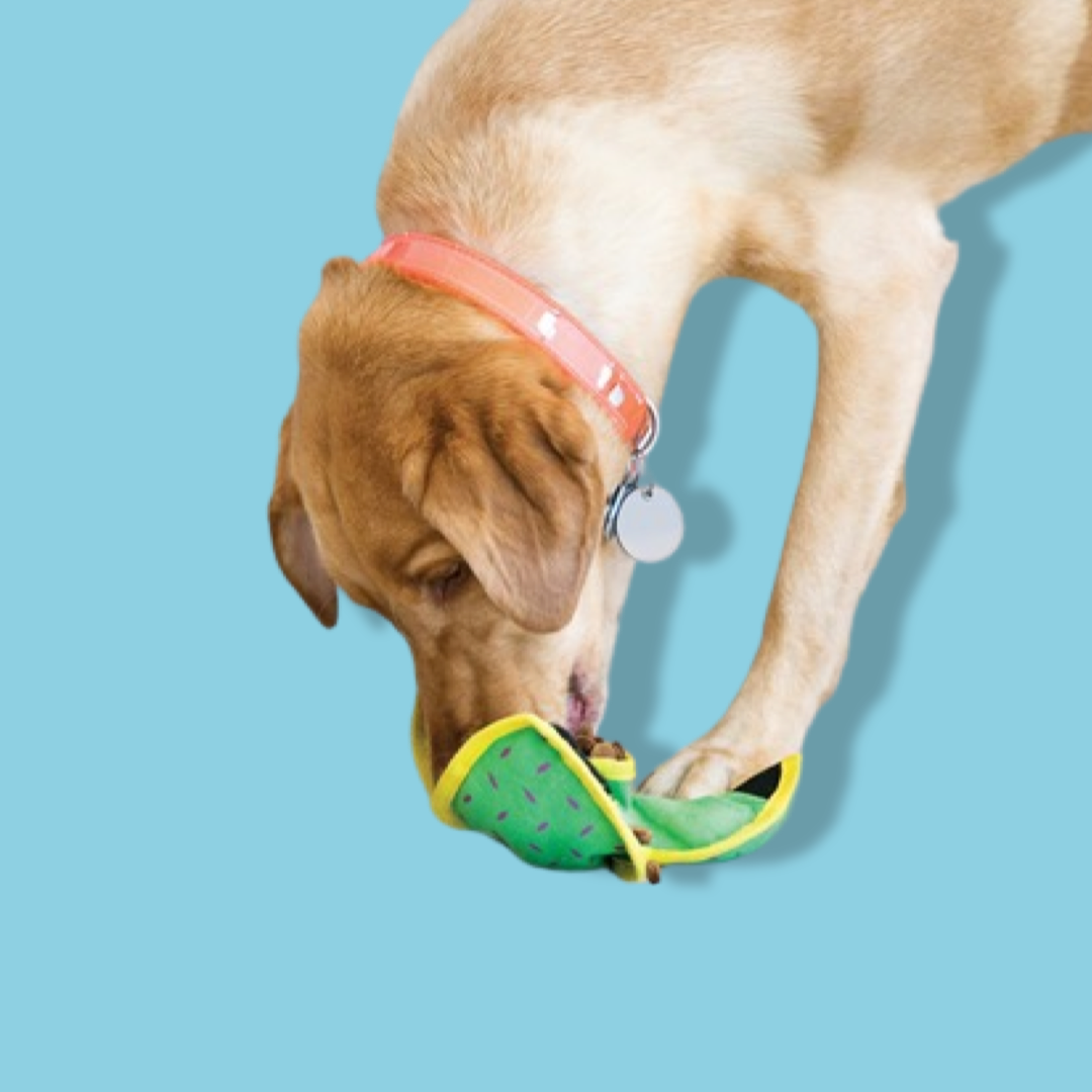 Kong - Ballistic Hide 'N Treat Assorti