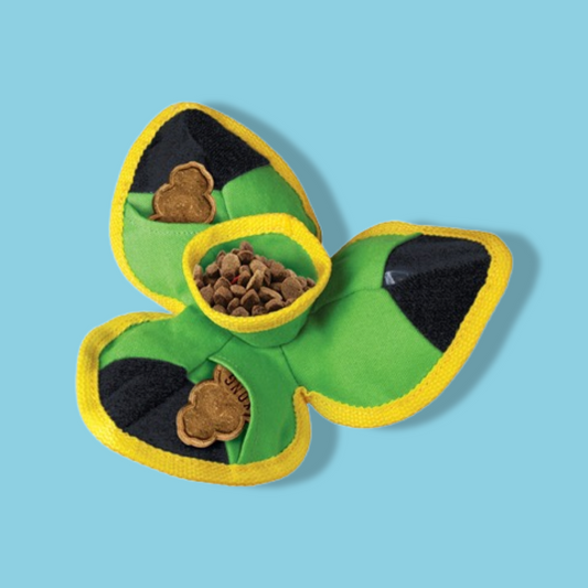Kong - Ballistic Hide 'N Treat Assorti